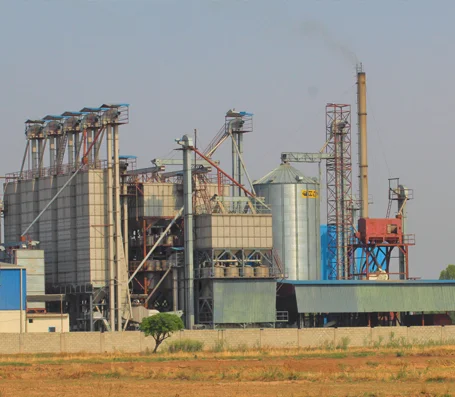 Patran Foods processing facility in Punjab