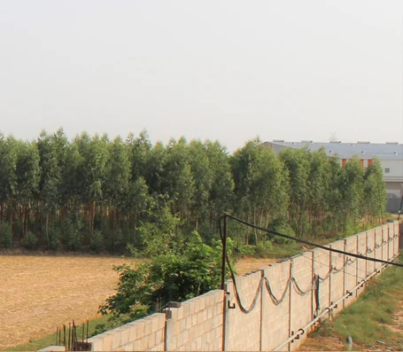 Green landscape surrounding the Patran Foods facility
