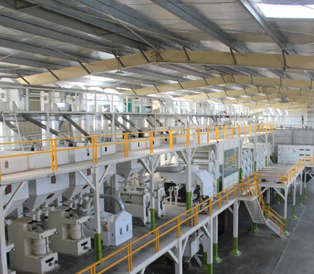 Rice processing machinery